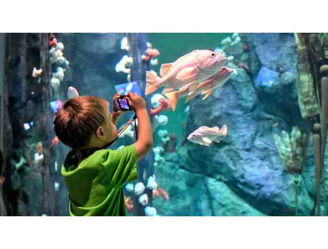 Point Defiance Zoo & Aquarium