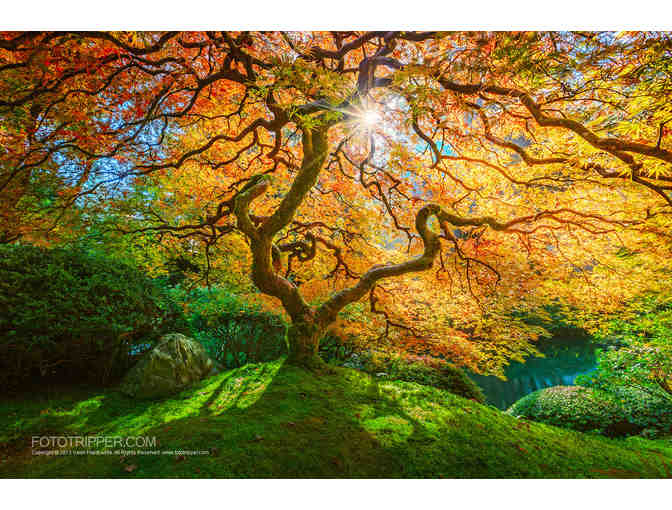 Portland Japanese Garden