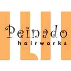 Peinado Hairworks