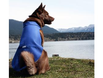 $25 Gift Certificate to Eco-Pup Dog Clothing!