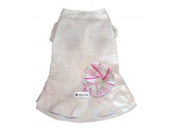 $25 Gift Certificate to Eco-Pup Dog Clothing!