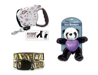 $20 Gift Certificate - All Dogs Big & Small