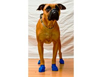 Pawz Dog Boots (disposable & reusable)