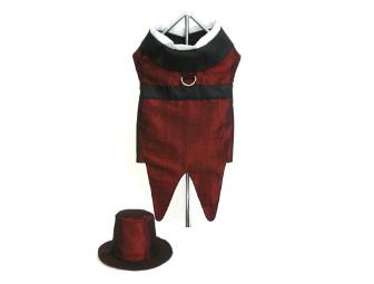 Rhett Butler Tuxedo dog costume (for dogs 71-100lbs)