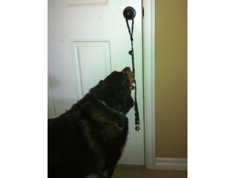Good Dog Doorbell