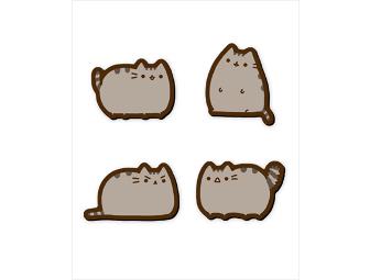 Pusheen the Cat gift set