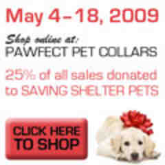 Pawfect Pet Collars by Jackie