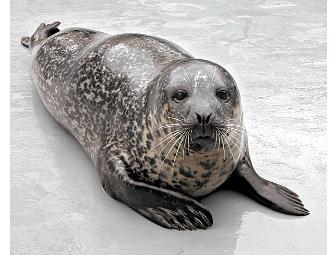 4 ONE DAY PASSES to the BRONX ZOO and a TOUR for 4 of LITTLE AIRPLANE PRODUCTION STUDIO