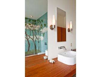 CONSULTATION with interior designer TRACY DAVIS and PROFESSIONAL ORGANIZING by LISA CARUSO