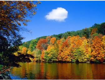 'Our Choice: A Plan to Solve the Climate Crisis' SIGNED by author Al Gore