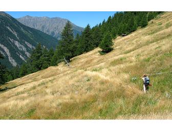 DOGLIANI, ITALY - 5 NIGHTS, 6 DAYS, ACCOMMODATIONS FOR 2 AND A PERSONAL TOUR GUIDE