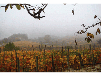 DOGLIANI, ITALY - 5 NIGHTS, 6 DAYS, ACCOMMODATIONS FOR 2 AND A PERSONAL TOUR GUIDE