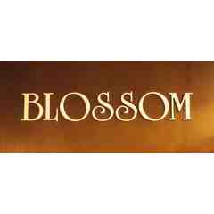 Blossom Salon