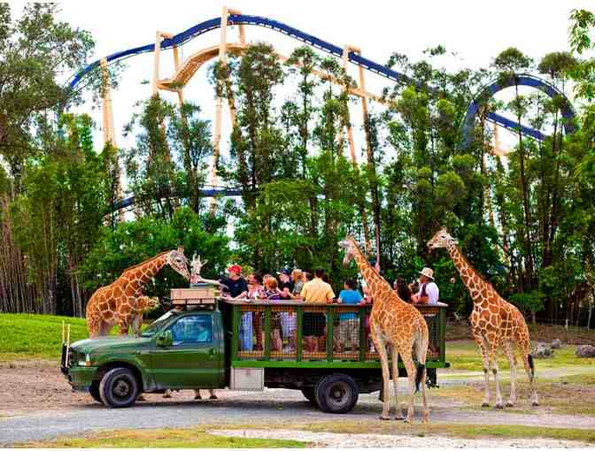 4 Busch Gardens Tampa Single Day Admission Tickets AND 2 Night Stay at Holiday Inn Tampa