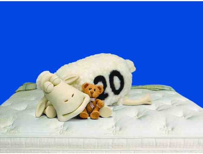 A Good Night's Sleep - $300 Gift Certificate to Sussex County Mattress