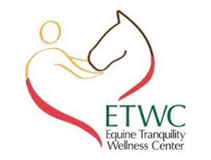Three (3) Private 1 Hour Lessons at Equine Tranquility Wellness Center