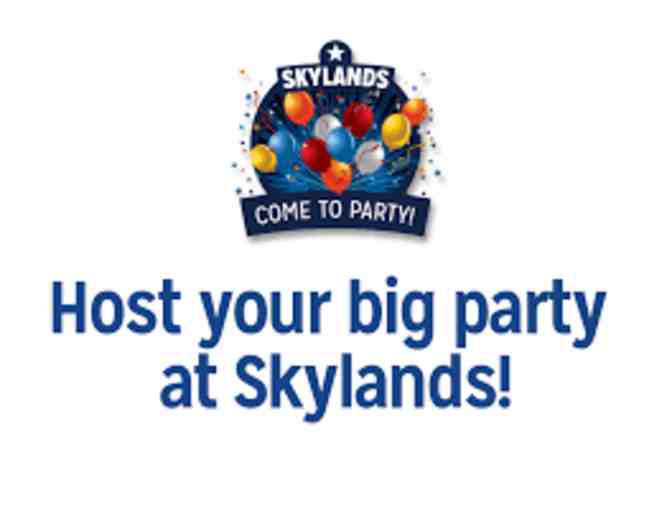 Birthday Party for Ten (10) at Skylands Ice World!