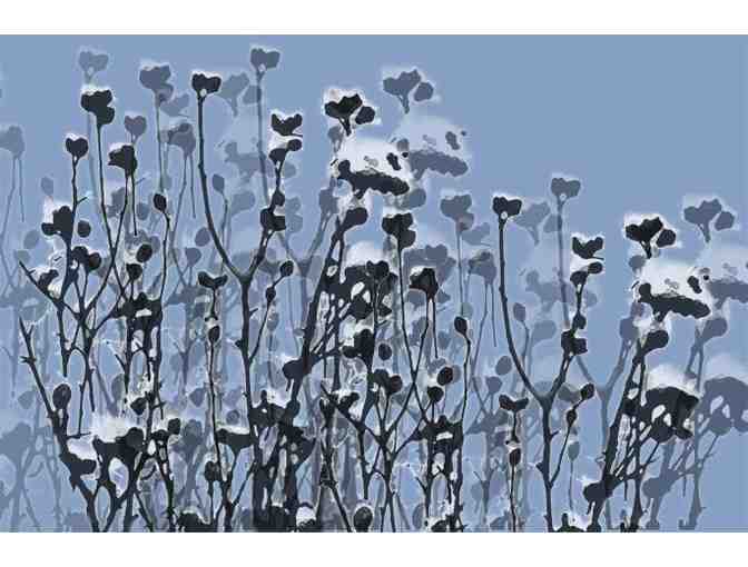 "Among the Winter Weeds" - Print on archival paper - Photo 1