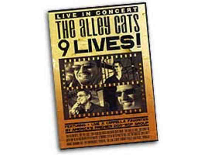 'The Alley Cats' CD package - 6 autographed CD's + autographed DVD