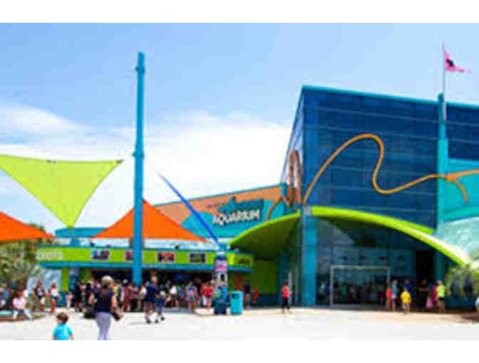 2 Night Stay at Crown Reef Resort Myrtle Beach & 4 Tickets to Ripley's Aquarium