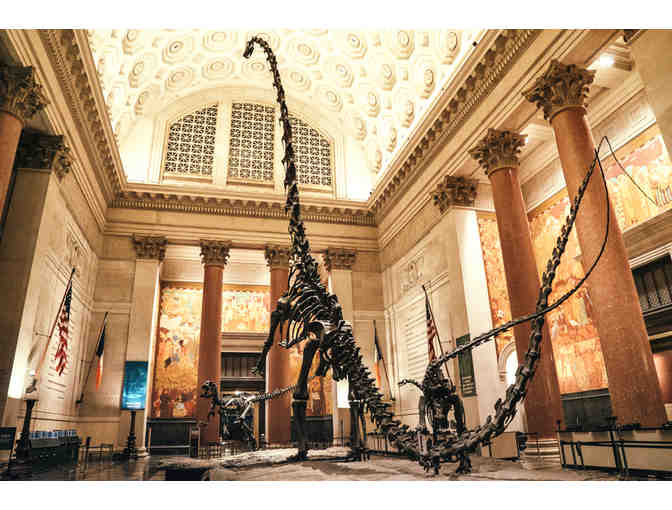4 Tickets to - The American Museum of Natural History