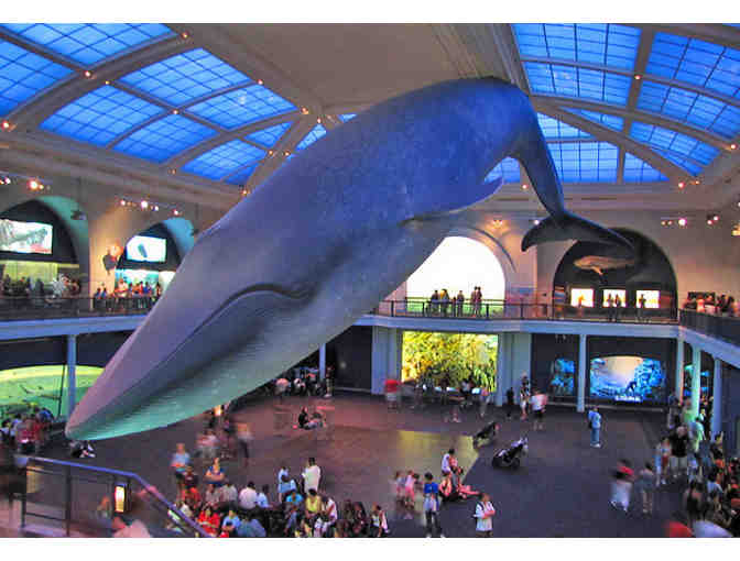 4 Tickets to - The American Museum of Natural History