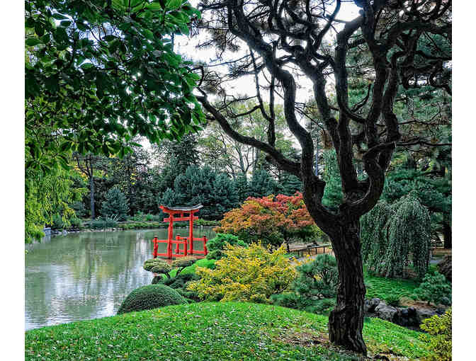 4 Passes to the Brooklyn Botanical Gardens