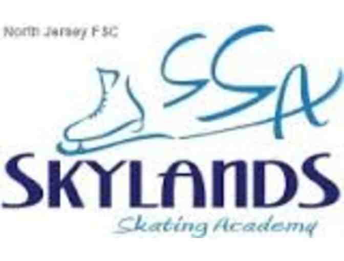 Skating Academy Learn to Skate Program at Skylands Ice World