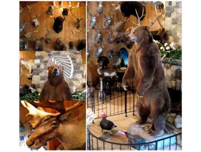 1 Adult and 1 Child Admission Pass to Space Farms and $50 Gift Certificate to Friendly's - Photo 3