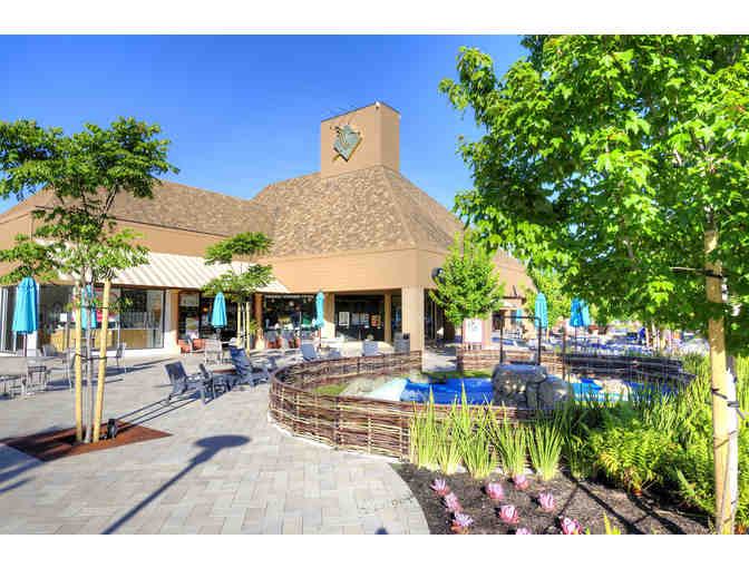 BON AIR Greenbrae - $100 Gift Certificate