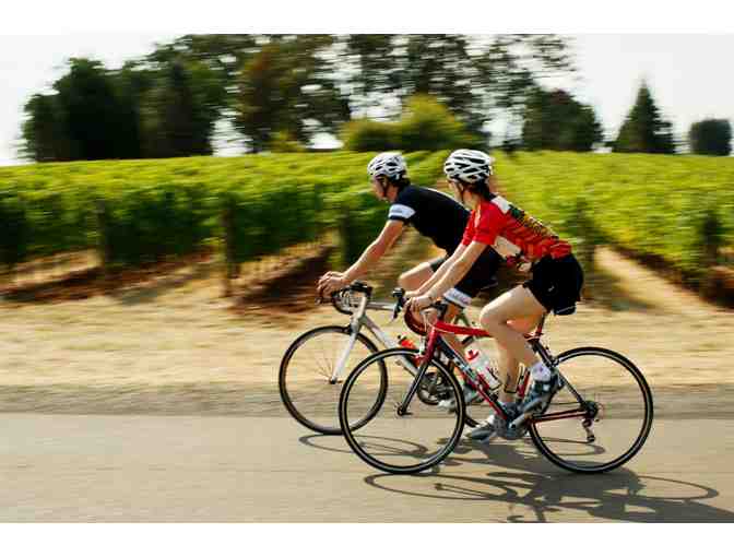 Full Day Bike Rental for 4 in Beautiful Sonoma Valley