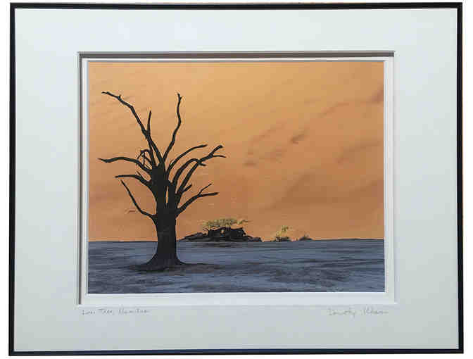 'Lone Tree in the Namibian Desert' by Dorothy Weaver, Framed Photograph