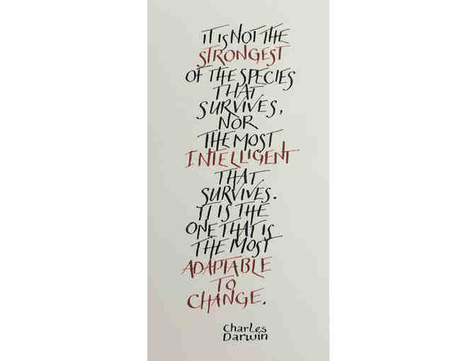 Charles Darwin Quote in Frame Hand Calligraphed by Adrienne Keats