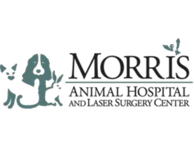 Morris Animal Hospital - Preventative Care Visit
