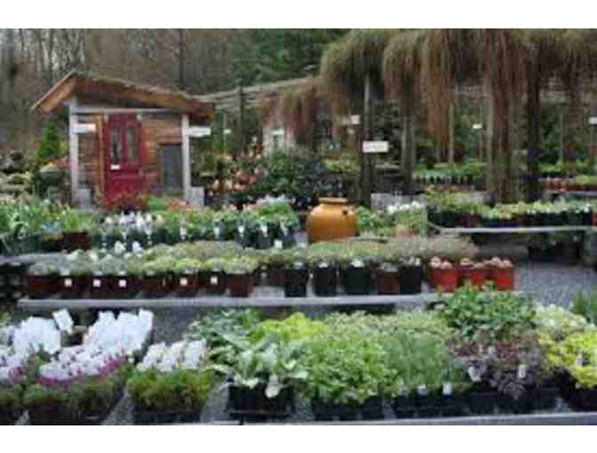 $30 Gift Certificate to Rockydale Gardens in Bristol, VT