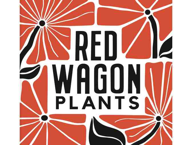 $25 Red Wagon Plants Gift Card *Awesome Garden Center! (Shelburne VT) #1
