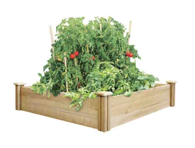 Gardener's Supply 4 X 4 Raised Bed *Grow a Bountiful Harvest With Ease!