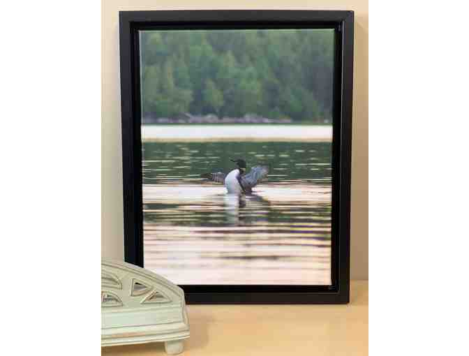 14x17 Framed Loon Canvas - Photo 1