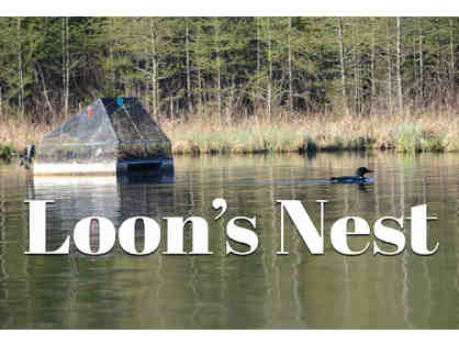 Loon's Nest by SCTCC Welding