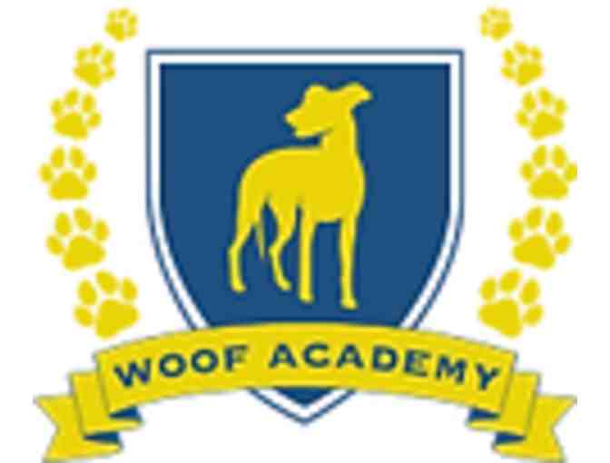 Puppy Group Training Class - Woof Academy