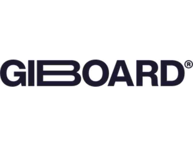 GiBoard Balance Board