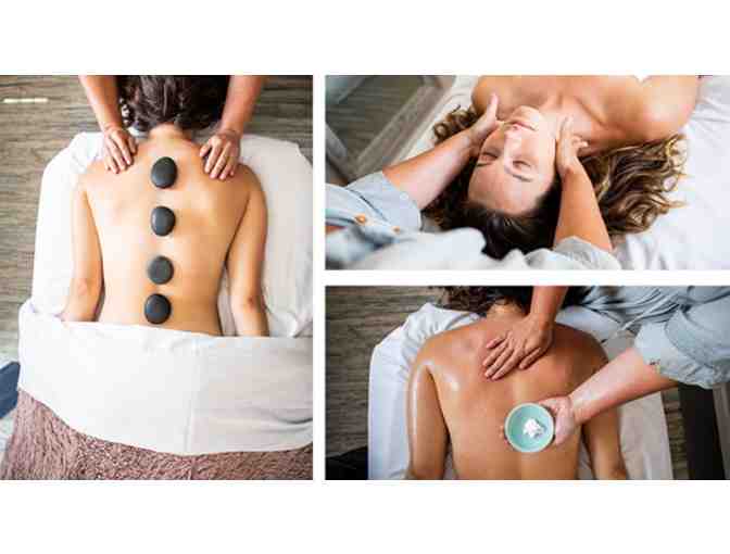 1.5 Hour Customized Massage or Facial Lemongrass Aveda Salon & Spa