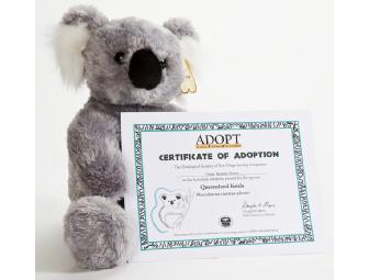 Koala Kids Zoo Package