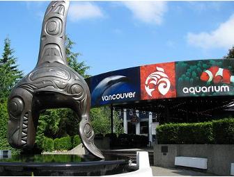 Visit the Vancouver Aquarium