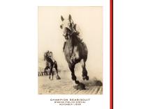 Original, Vintage Seabiscuit Holiday Greeting Cards, 5" x 7" (set of 3)
