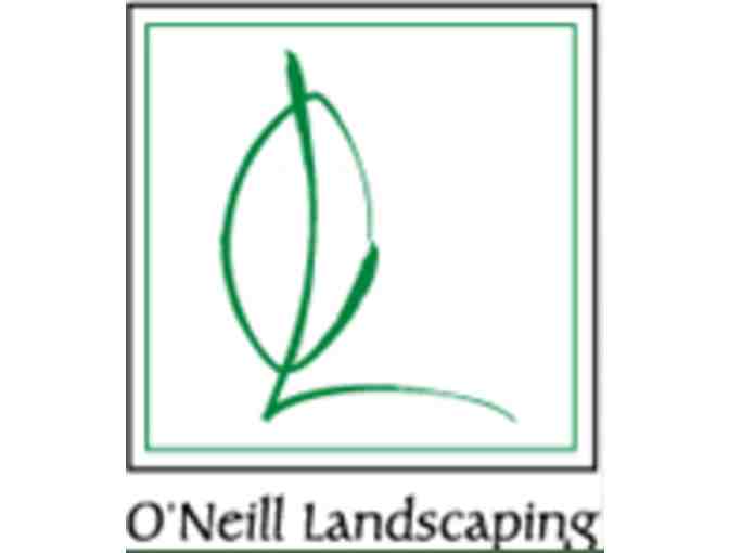 $2,500 in Landscaping Services with O'Neill Landscaping