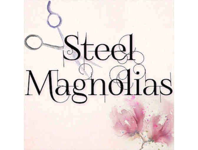 The Salon Pieces from our Steel Magnolias Set