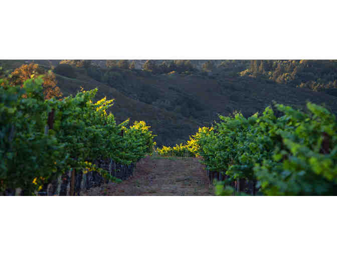 Private Tour and Tasting for up to 10 guest at Savannah Chanelle Vineyards, Saratoga, CA