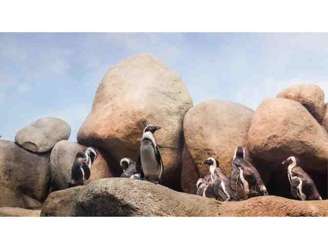 California Academy of Sciences, San Francisco - Four (4) general admission tickets