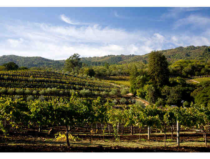 Vineyard Tour and Wine Tasting for 4 Adults at Benziger and Imagery Estate Winery